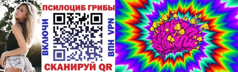 Псилоцибиновые грибы прущие грибы сколько стоит Глазов
